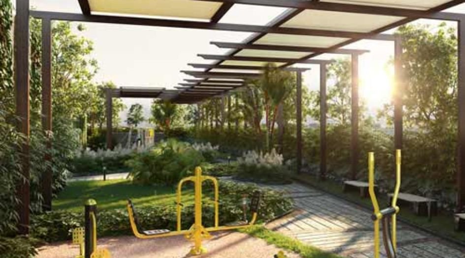 The-View-Gallery-Jungle-Gym